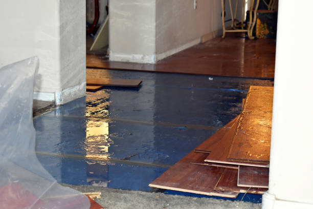 Professional Basement Flood Cleanup technician working in Campton, NH
